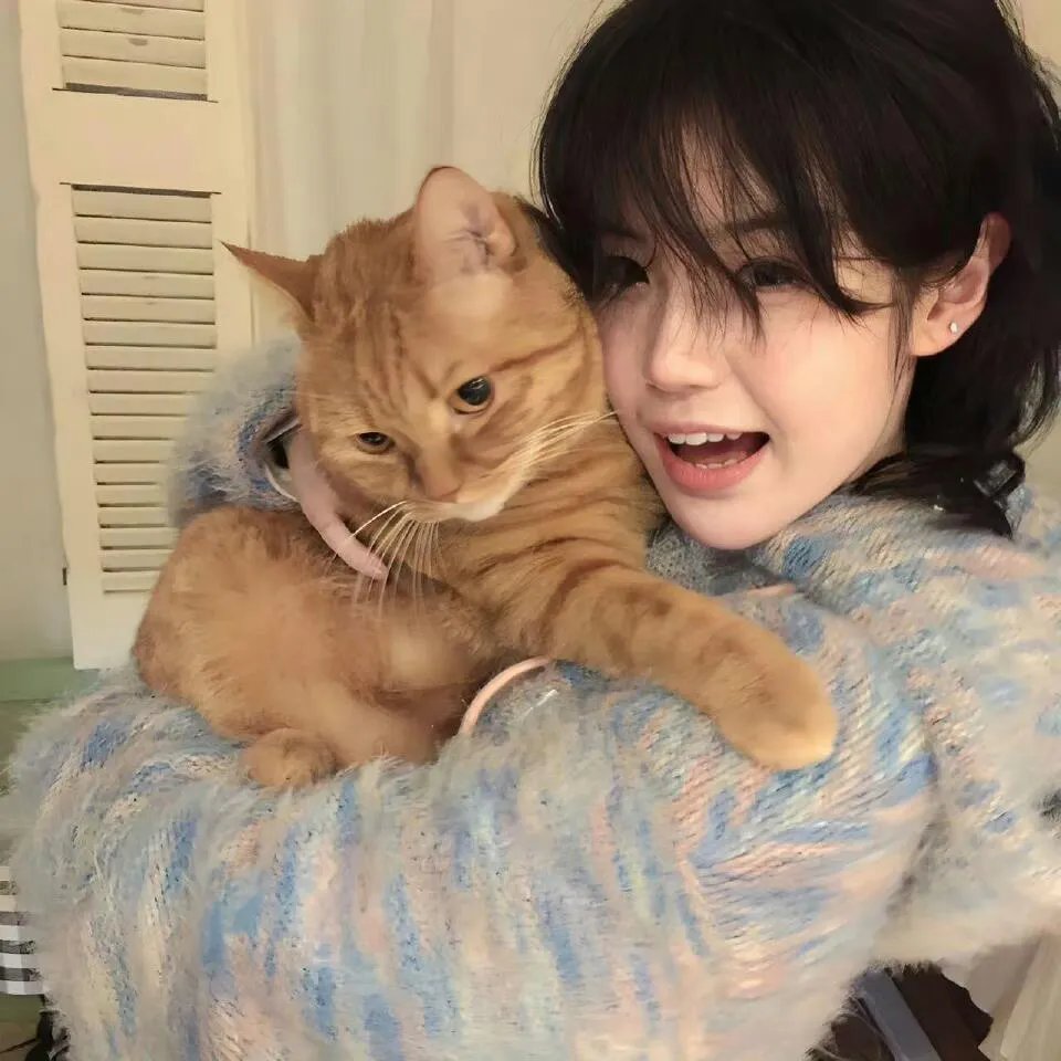 我跟踪猫